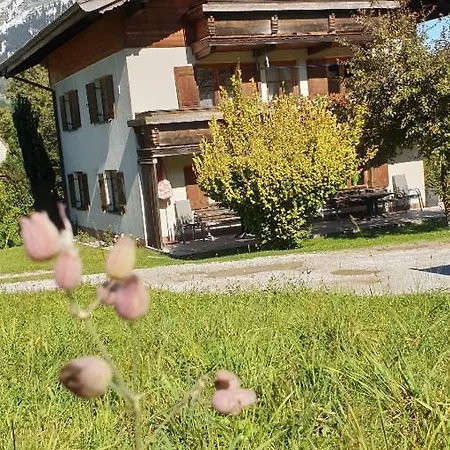 Apartment Hoschek Scheffau am Wilden Kaiser