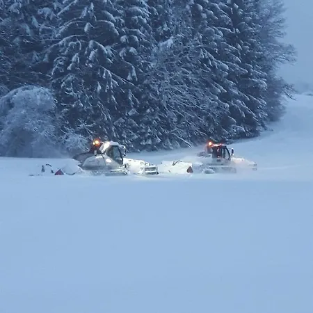 Hoschek * Scheffau am Wilden Kaiser